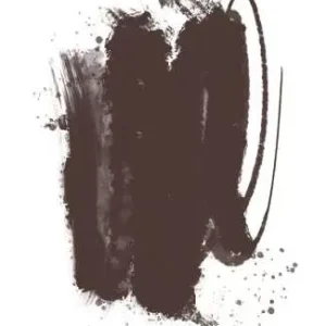 Brovi One Inorganic - Cool Dark Brown 10ml