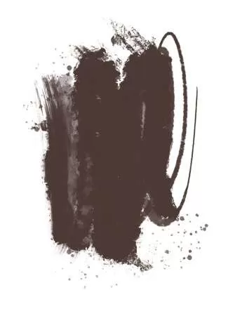 Brovi One Inorganic - Cool Dark Brown 10ml