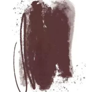 Brovi One Inorganic - Warm Dark Brown 10ml